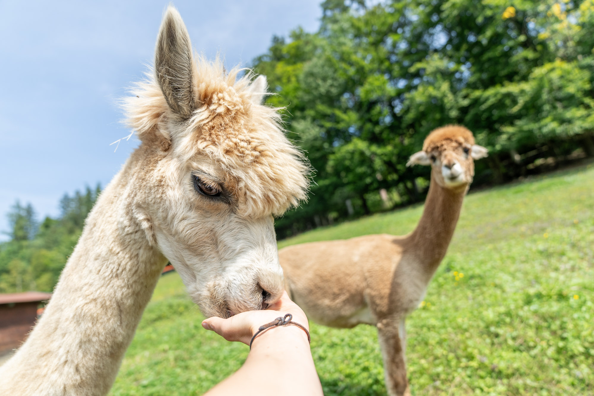 250827_ZOOOMProductions_CL_0017